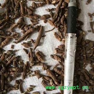 京辉药业野生 人参果 蕨麻 长寿果 凤果 艳果 优质 促销图2