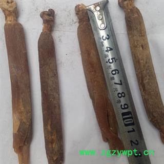 京辉药业 高丽参图2