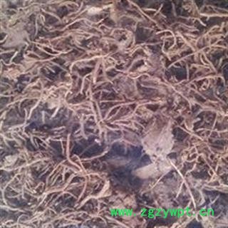 中药材 红毛七 红毛三七 正品 批发 促销图3