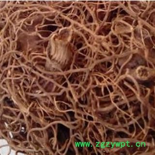 中药材 红毛七 红毛三七 正品 批发 促销图2