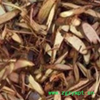 京辉药业 千斤拔 蔓性千斤拔 一条根 老鼠尾 吊马墩 吊马桩 金牛尾 箭根 钉地根 土黄芩 钻地风图2