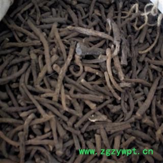 京辉药业 仙茅 优质实物拍摄 批发 零售 各种规格中药材 矿石图2