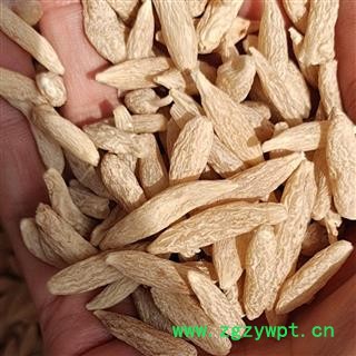 京辉药业 麦冬 寸冬 精选 促销图2