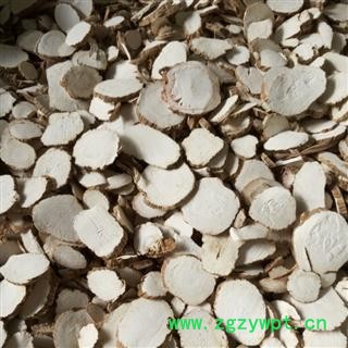 白芷 统 产地 山东省图2