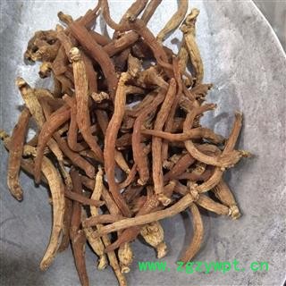 红参 产地直销新货纯无糖红参人参。一手货源产地批发 产地 吉林省图3
