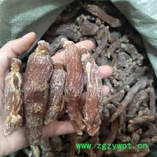 红参 产地直销新货上市红参个人参，个头大颜色好，便宜出售 产地 吉林省图2
