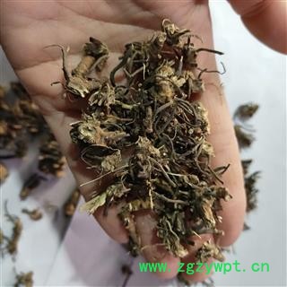 威灵仙 本店新到威灵仙头子货干新货干净无杂质 产地 辽宁省图3