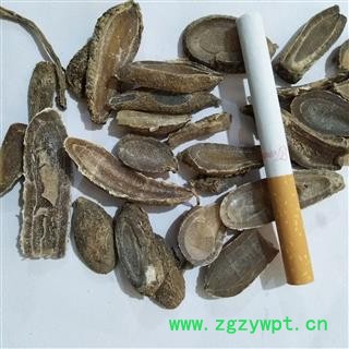 郁金 广郁金斜片统片 产地 广西壮族自治区图2