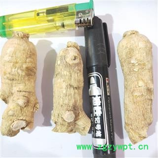 西洋参 新到西洋参精品特大个，纯干无硫无虫蛀干净无杂质实物拍摄 产地 吉林省图4