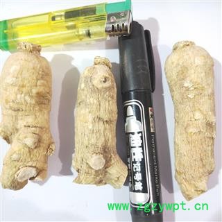 西洋参 新到西洋参精品特大个，纯干无硫无虫蛀干净无杂质实物拍摄 产地 吉林省图2