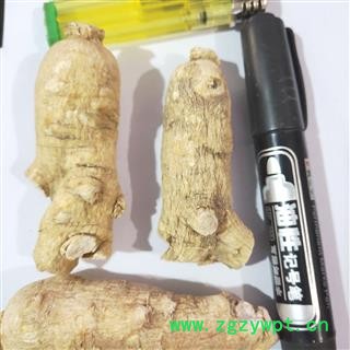 西洋参 新到西洋参精品特大个，纯干无硫无虫蛀干净无杂质实物拍摄 产地 吉林省图3