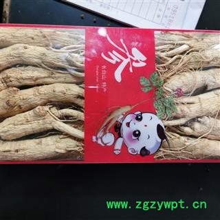 人参 本店新到生晒参35支货干无硫磺条形好 产地 吉林省图3
