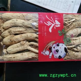 人参 本店新到生晒参35支货干无硫磺条形好 产地 吉林省图4