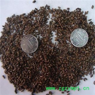 决明子，产地广西，库存50000图2