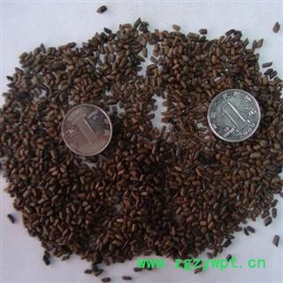 决明子，产地广西，库存50000图3