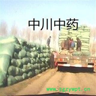 大青叶 甘肃统货 库存5000可售图3