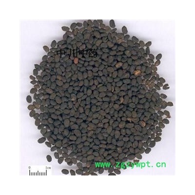 补骨脂  云南统货  库存5000可售