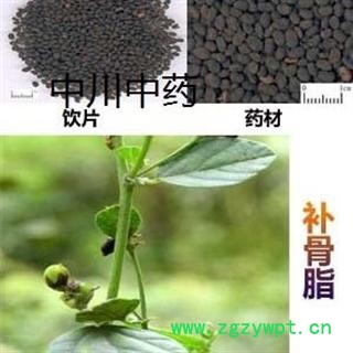 补骨脂  云南统货  库存5000可售图2