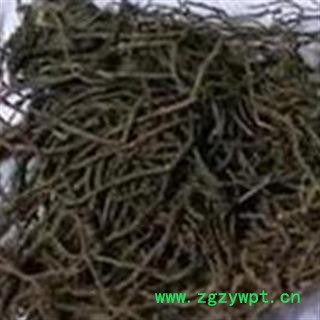 京辉药业 马尾连 马尾莲 金丝马尾连 正品 优质 促销图3