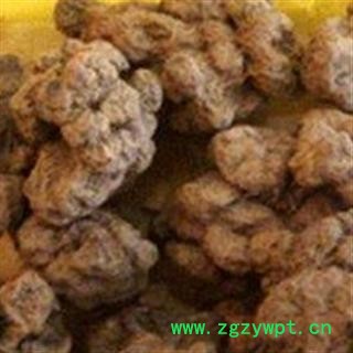 正品 冷背中药材 朱砂连 野生 优质 促销 雷见怕、牛血莲、躲蛇生、避蛇生图2