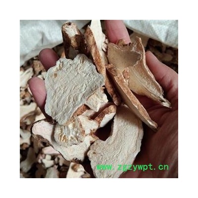 京辉药业 白术大统片 质量好 价格低 产地直销 产地 河北省