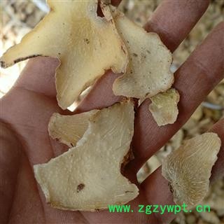 白及 白及白统片 产地 云南省图2