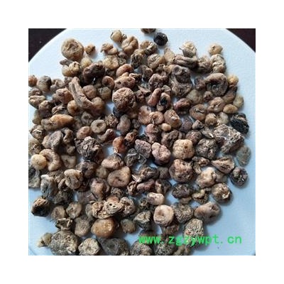 山慈菇 毛慈菇统货 产地 云南省