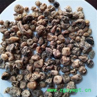 山慈菇 毛慈菇统货 产地 云南省图2
