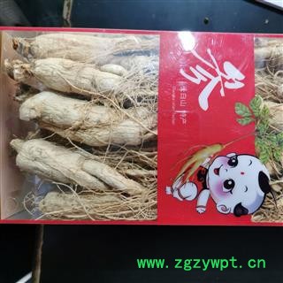人参 本店新到生晒参25支条形好货干无硫磺 产地 吉林省图4
