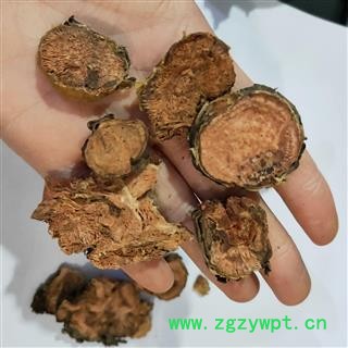 红景天 正品大花红景天去皮统块 香味十足产地 西藏自治区图4