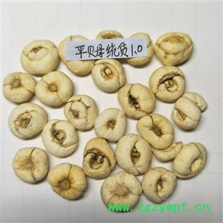 平贝母 平贝直径约1.0 产地 吉林省图4