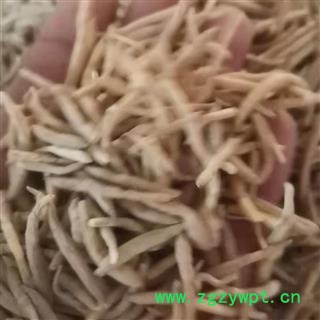 麦冬 统 产地 山东省图2