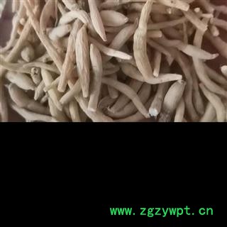 麦冬 统 产地 山东省图3