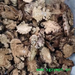 川芎 川芎中统片1.5 产地 四川省图2