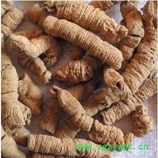 巴戟肉 巴戟肉大肉 产地 广东省汕尾市海丰县图3