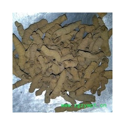 巴戟肉 巴戟肉大肉 产地 广东省汕尾市海丰县