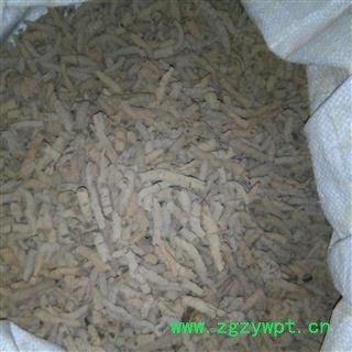 巴戟肉 巴戟肉大肉 产地 广东省汕尾市海丰县图2