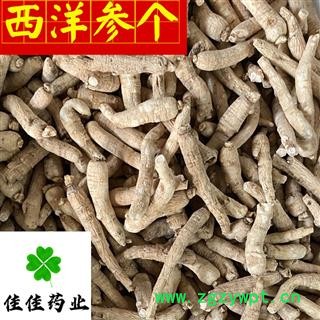 西洋参 西洋参长支10-20g 中支选货 产地直销 正品 纯干货 产地 吉林省图3