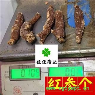 红参 红参低糖20~25支 选货 供应大货 大个 产地 吉林省 红参个子低糖红参图2