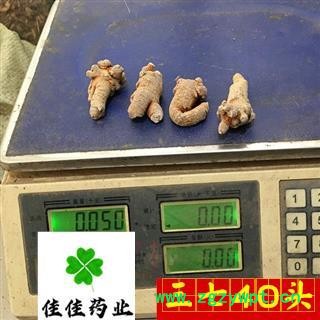三七 三七标准40头 产地直销 三七参 实物图 产地 云南省 供应各类中药材 花果茶 冷背货 名贵药材 矿石等图3