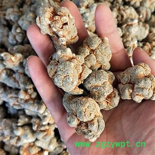 亳州花田错药业三七 30头  水洗 全干货图3