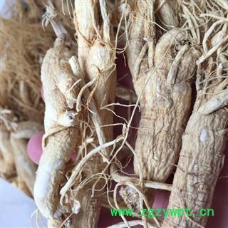 茗生春  白参 25枝  支持打粉，  地道药材图3