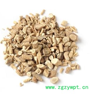 板蓝根 统 产地 河北省图2