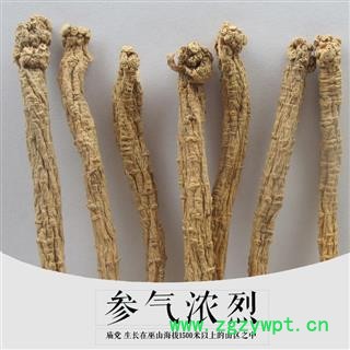 巫山庙党中小条0.4-0.6中条0.6-0.8中大条0.8-1.2　无硫农家自产产地重庆市巫山县图2