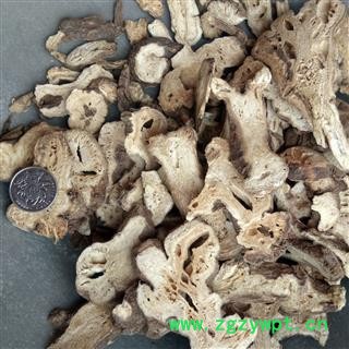 特惠白术/二年生 统货 无硫   产地 安徽 亳州  【隆兴中药材】图2