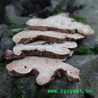 白术 中药材白术秦岭天然白术片新货无硫白术生白术白术泡水500克图2