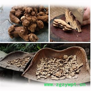 白术 中药材白术秦岭天然白术片新货无硫白术生白术白术泡水500克图4