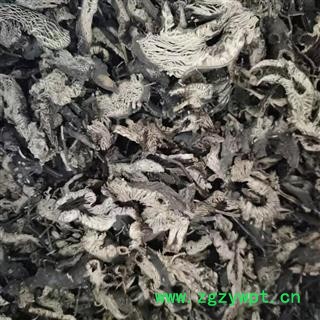 【东北升麻纯净好统货】图2