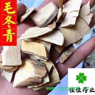 毛冬青 大统货 颜色好 供应大货 产地 广西壮族自治区图2