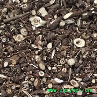 柴胡 好统装 含量高 包含量 山东货 产地 山东省图3